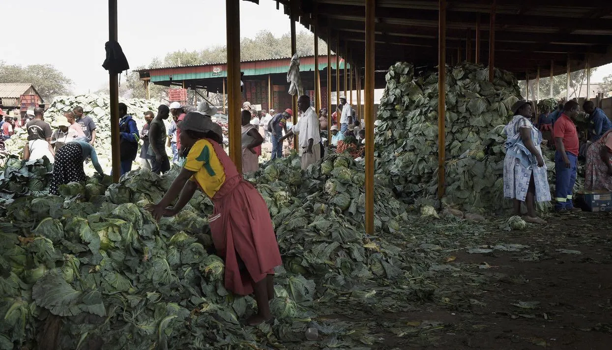 Фото: Mary Turner / Getty Images