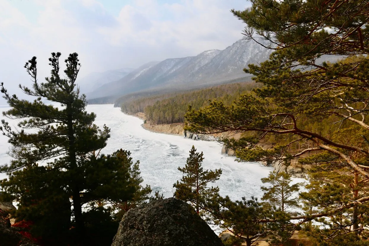 Kosmodzilla / Shutterstock.com