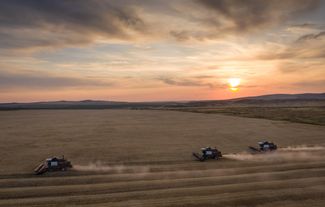 Комбайны проезжают по полю пшеницы во время уборки урожая в Оренбургской области, Россия. 31 августа 2022 года