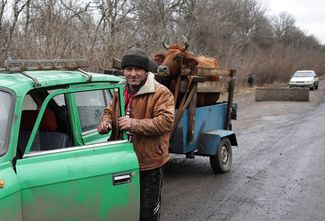 A local man waits near of the checkpoint with his cattle to pass as he leaves his home, 03 February 2015.
