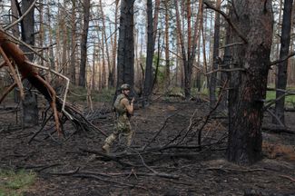 A Ukrainian soldier in the Kreminna forest, June 2023. Traces of a fire are visible. Fighting has been ongoing in this forest since October and Russian troops have not been able to force Ukrainian units out of the area.<br>