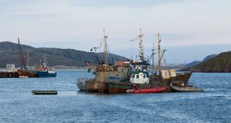 Рыболовные суда в заливе Баренцева моря, у поселка Териберка, где тоже выделили участок для вылова краба
