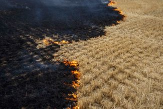 Пожар на поле, с которого успели собрать урожай, у города Курахово Донецкой области. Накануне власти Турции сообщили, что 22 июля в Стамбуле будет подписано соглашение об экспорте украинского зерна
