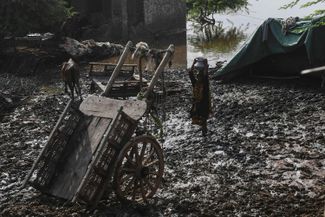 Женщина несет кувшин с водой, пробираясь сквозь оставшуюся после потопа грязь в городе Джейкобабад<br><br>
