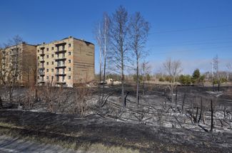Сожженная трава в заброшенном поселке Полесское, 12 апреля 2020 года
