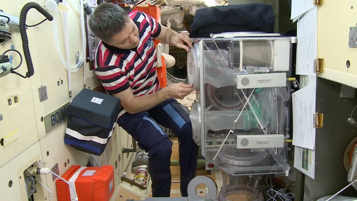 <br>3D Bioprinting Solutions