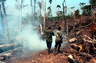 Партизаны ФАРК расчищают огнем поле, чтобы устроить там плантацию сахарного тростника. Февраль 2001 года