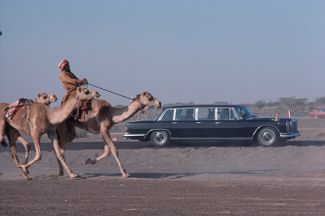 В феврале 1979 года Елизавета II в ходе очередного турне посещала страны Персидского залива. В ОАЭ ее лимузин сопровождал эскорт на верблюдах