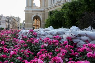Мешки с песком среди цветущих роз у Одесского театра оперы и балета.