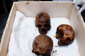 Черепа людей, захороненных в саркофаге. Ученые предполагают, что это воины