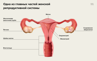 Нарушения менструального цикла
