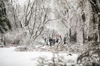 Trees covered with ice and branches felled by the storm in Vladivostok. November 25, 2020.