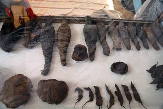 В гробнице были обнаружены мумии животных, в том числе соколов и мышей.