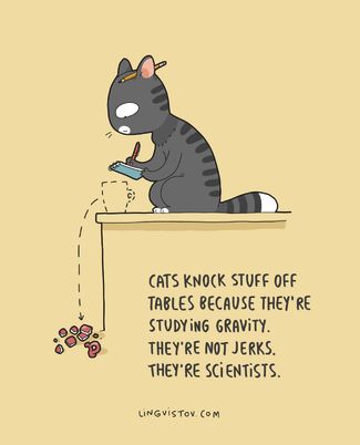 «Коты сбрасывают вещи со столов потому, что они изучают гравитацию. Они не нахалы — они ученые»