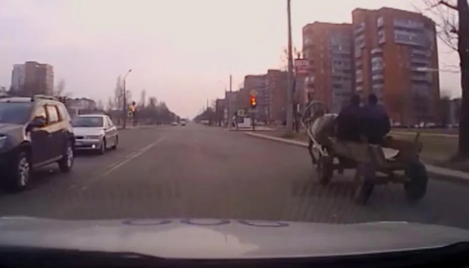 Кадр: TV2 Mogilev / YouTube