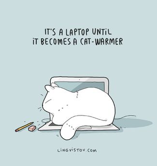 «Это ноутбук, пока он не станет грелкой для кота»