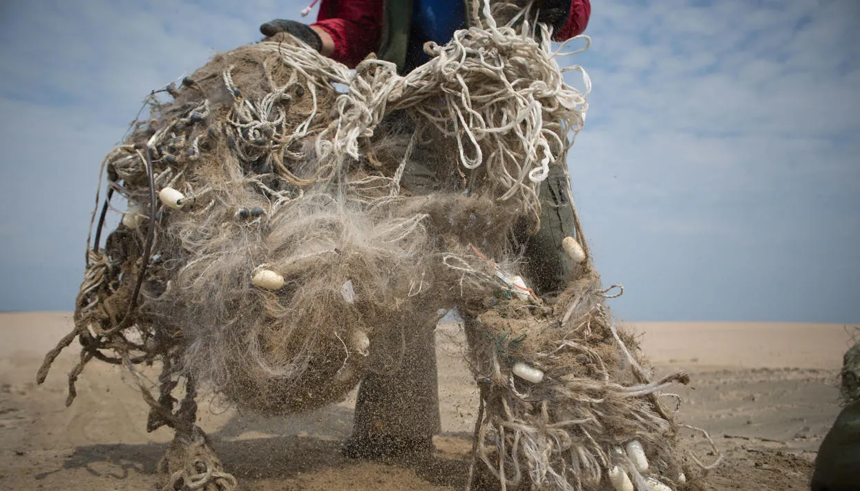 Фото: всероссийский волонтерский эко-марафон En+ Group «360 минут»