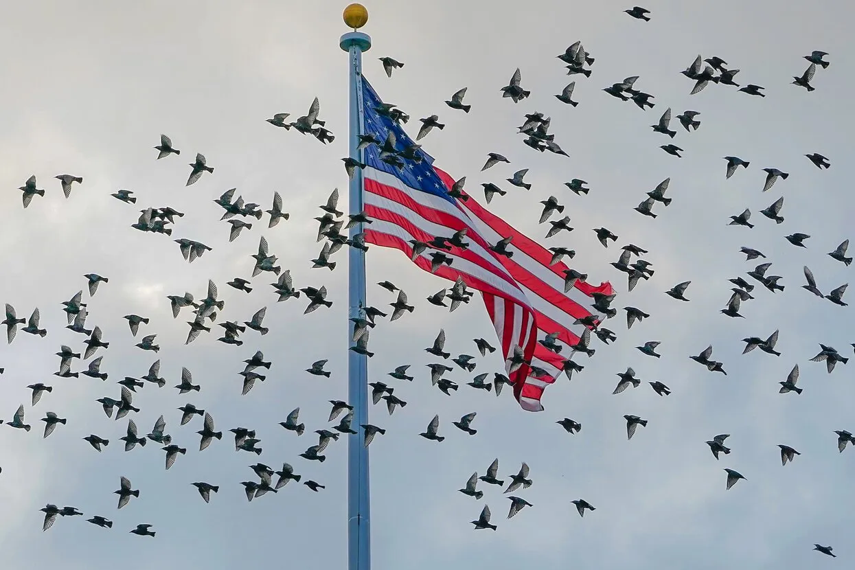 Susan Walsh / AP / Scanpix / LETA