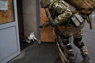 Украинский военный играет с котом в заброшенном магазине Бахмута. Активные бои за Бахмут идут с начала августа, российские войска — в первую очередь состоящие из наемников ЧВК Вагнера — пытаются окружить город