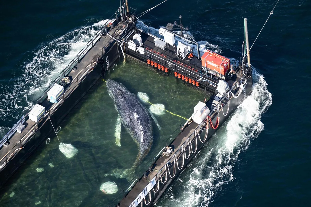 Philip Dulian / various sources / AFP / Scanpix / LETA