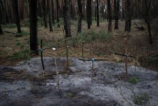Кресты в Ирпенском лесу. Здесь похоронены мирные жители, погибшие во время боев за город в Киевской области. 