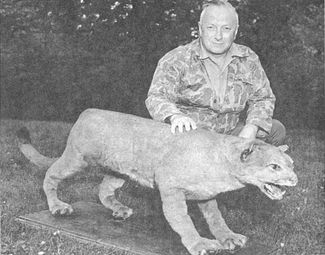 Биолог Брюс Райт с чучелом восточной пумы, пойманной в 1938 году в канадской провинции Квебек.