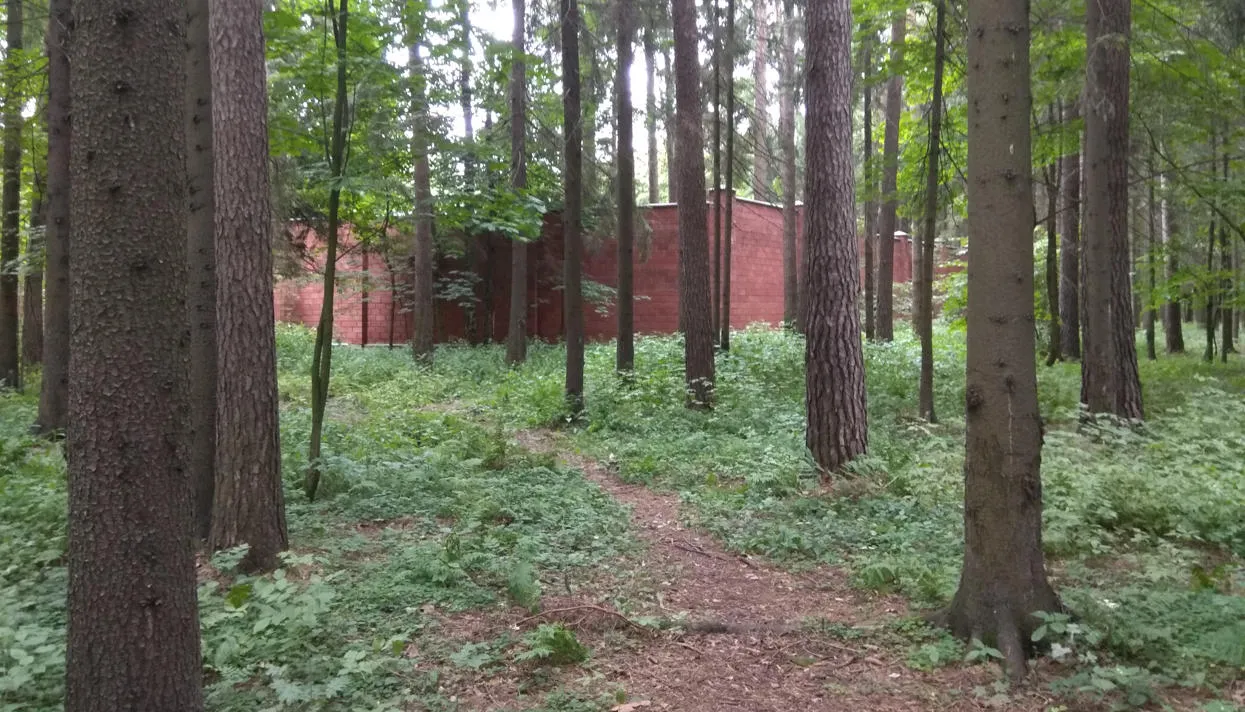 Иван Голунов / «Медуза»