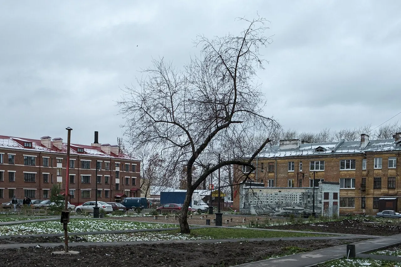 Пермский Рабочий поселок был символом нового советского быта, а стал худшим  районом города. Местная троцкистка решила привести его в порядок — теперь  там снова вешают красные флаги — Meduza