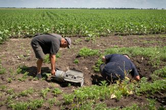 Фермеры изучают обломки российской ракеты на обстрелянном подсолнечном поле в Донецкой области. Украинский Генштаб сообщает, что российские силы на донецком направлении перегруппируются для усиления и продолжения наступления