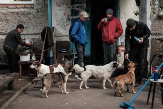 Жители Святогорска кормят собак у входа в многоквартирный дом