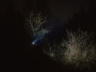 A nighttime trek through the Turnicki forest near Rybotycze. February 2024.