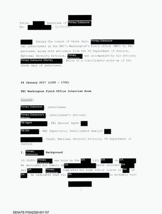 Примерно так выглядит отцензурированный протокол допроса Игоря Данченко в ФБР