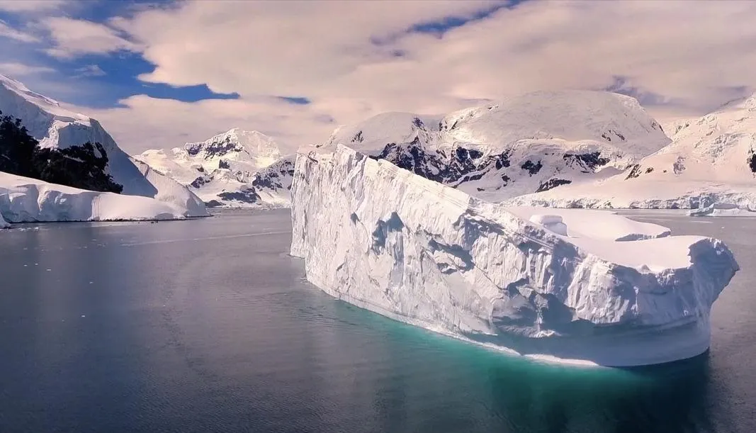 Кадр: Kalle Ljung / Vimeo