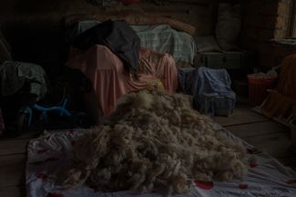 Chambarak, Armenia. Washed and processed wool dries in an attic. The next day, a neighbor will come over and help make it into a blanket. Most people in rural Armenia keep sheep and make blankets from their wool.