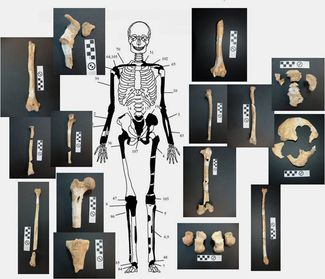 Обнаруженные фрагменты мужского скелета. Изображение, распространенное греческим Министерством культуры. 19 января 2015 г.