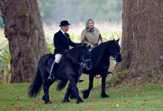 82-летняя Елизавета II на конной прогулке в Виндзоре в октябре 2008 года. Королева продолжала ездить верхом до последних лет жизни<br>