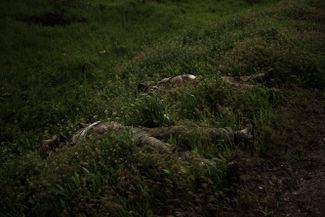 Тела российских солдат на обочине дороги в селе Ольховка под Харьковом. Населенный пункт взят украинскими войсками
