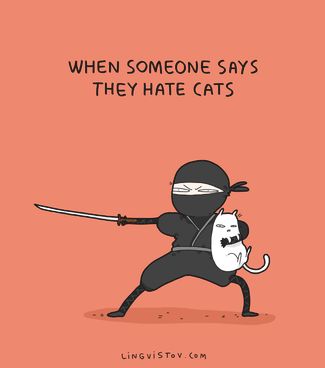 «Когда кто-то сказал, что ненавидит кошек»