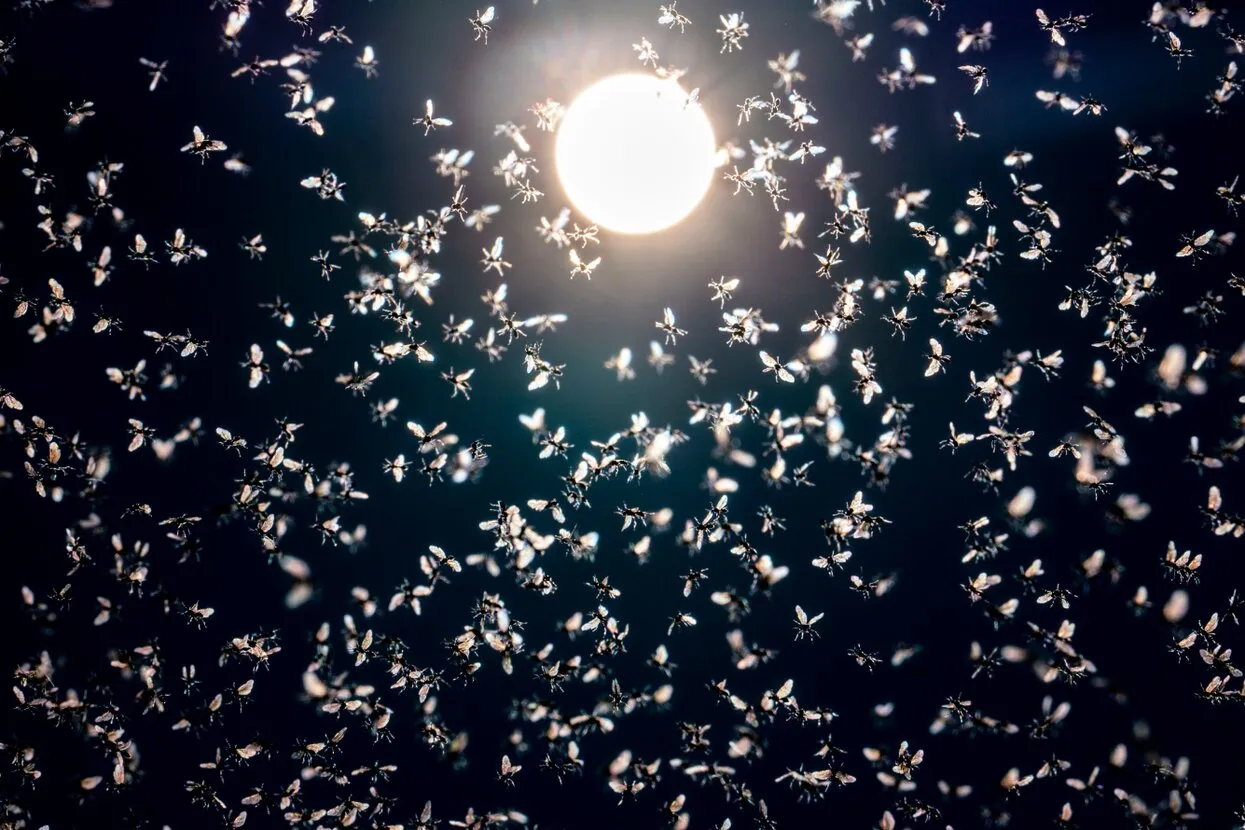 Frank Rumpenhorst / picture alliance / Getty Images