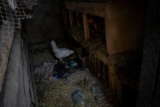 Тело российского военнослужащего в курятнике в селе Ольховка на окраине Харькова