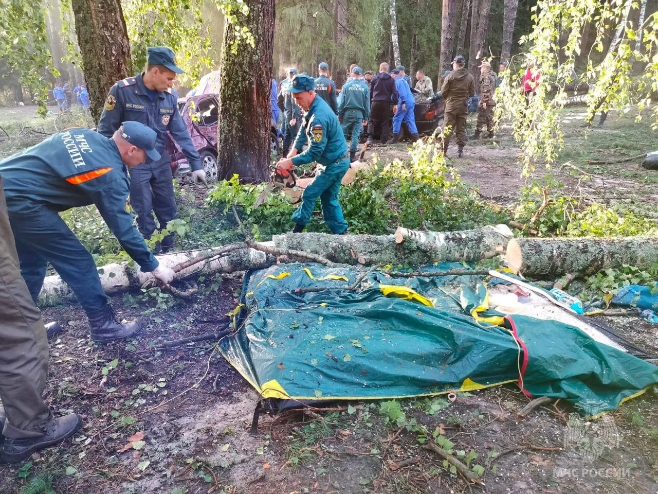 В Марий Эл во время урагана деревья завалили палаточный лагерь с туристами.  Погибли восемь человек, больше 20 пострадали — Meduza