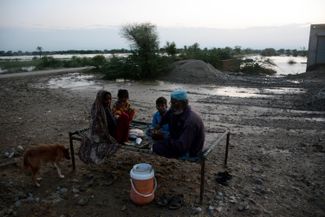 Жители провинции Пенджаб ждут помощи