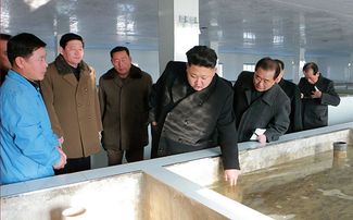 Ким Чен Ын инспектирует рыбную ферму