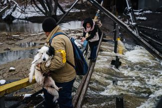 Украинский волонтер помогает женщине и ее собаке перебраться через реку Ирпень. Мост был разрушен, чтобы замедлить продвижение российской техники. 1 марта 2022 года