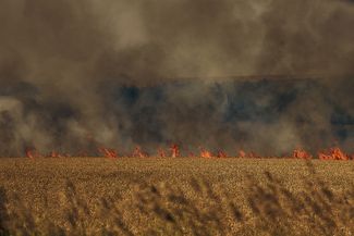Горящее поле на востоке Украины. Украинские власти обвиняют российскую армию в том, что она специально поджигает поля пшеницы