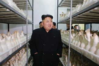 Ким Чен Ын осматривает ферму по выращиванию грибов в Пхеньяне