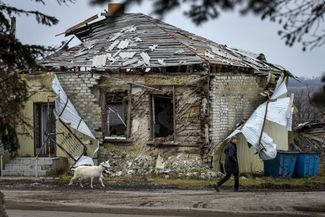 Жительница села Дробышево в Краматорском районе со своей козой у разрушенного дома