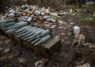 Собака возле снарядов для украинских танков в районе Северска в Донецкой области