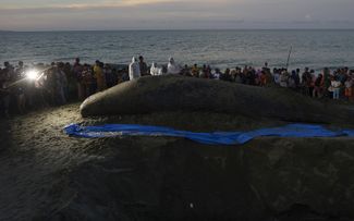 Кашалот выбросился на берег в провинции Ачех. Индонезия, 14 ноября