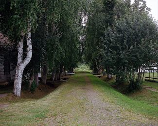 A row of trees that violated regulations requiring the entire prison grounds to be visible. The trees were planted during the 1953-1972 period, when many former high-ranking officers from the NKVD-KGB and MVD were imprisoned.